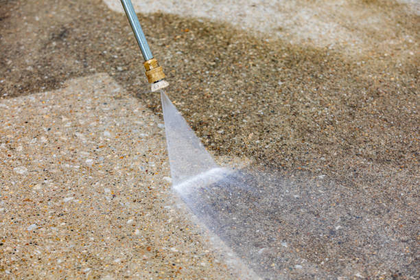 Best Roof Washing  in Bayou Gauche, LA